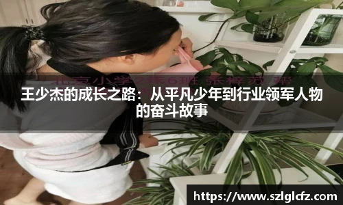 lewin乐玩官网王少杰的成长之路：从平凡少年到行业领军人物的奋斗故事